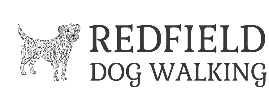 redfield dog walking